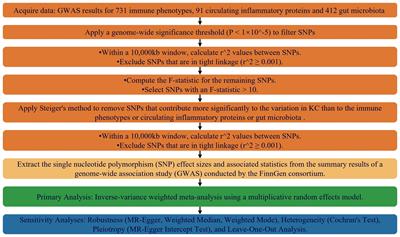 Exploring the gut microbiome and immunological landscape in kidney cancer: a Mendelian randomization analysis